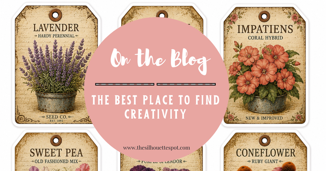 Creativity Blooms in Unexpected Places