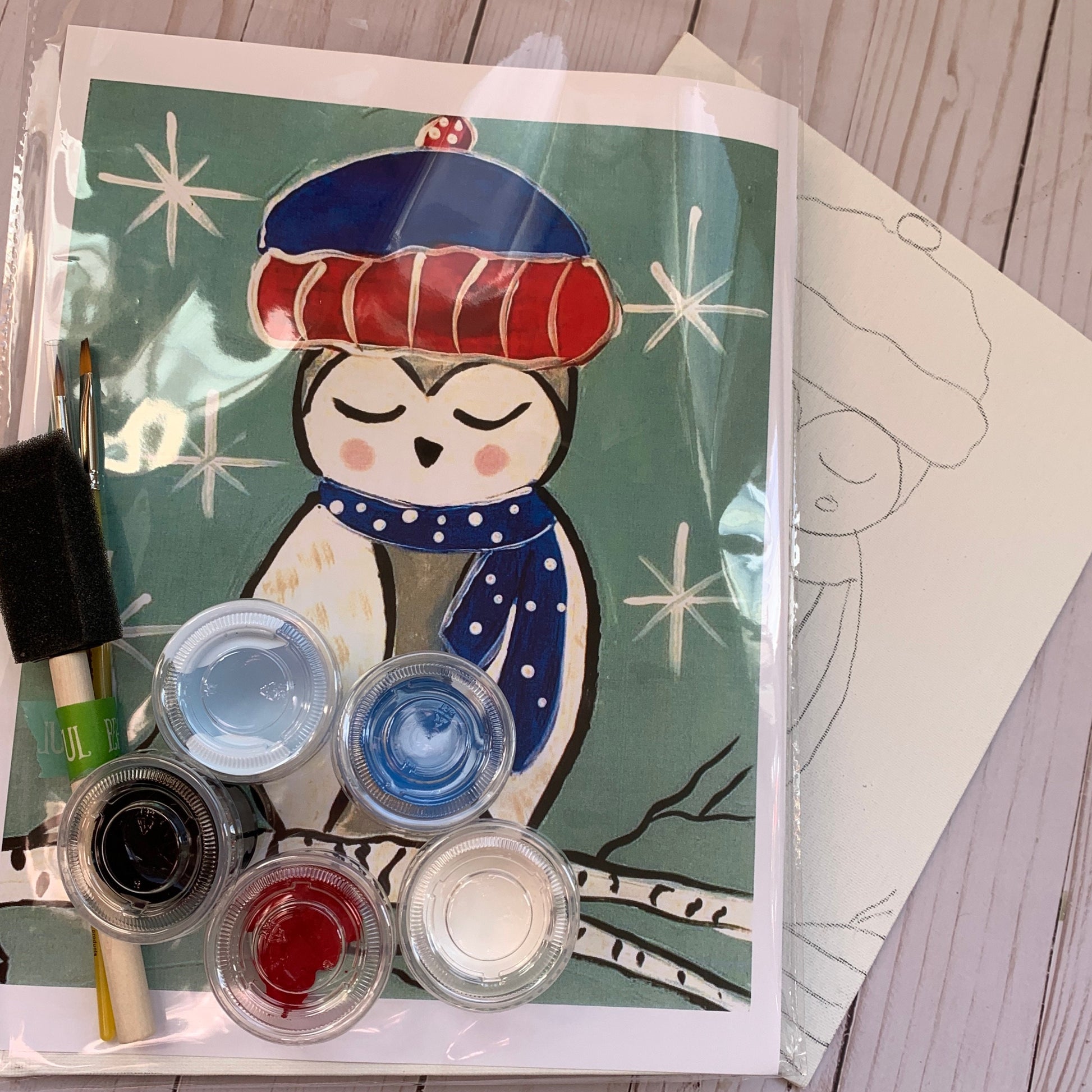 Owl Art Kit for Kids and Adults